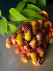 Pre-order “Sun Can Only Be On Leo"