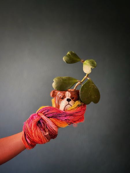 Pre-order “Sun Can Only Be On Leo"