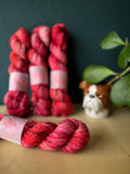Cardinal- Gaia: 85% Superwash Merino 15% Donegal Nep - DK