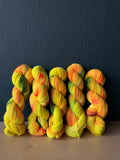 Pre- order New Colorways in Ares & Moires - Fingering